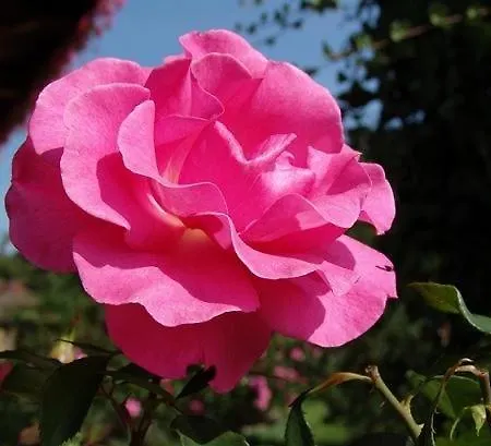 Heissbauer Apartament *