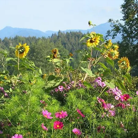 Apartament Heissbauer Wackersberg