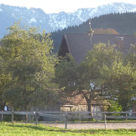 Apartament Heissbauer *